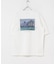 Monet Artwork Print T-shirts