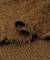 ソフトシャギーVネックカーディガン