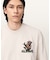 CACTI SS CREW