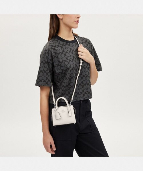 公式】アンドレア ミニ キャリーオール｜コーチ アウトレットの