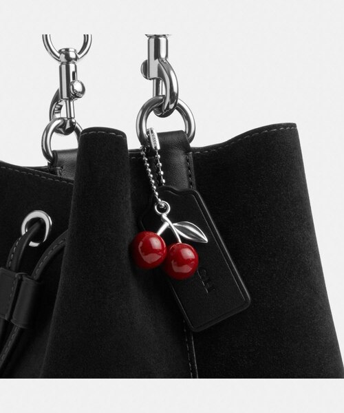 公式】ローアン バケット バッグ・チェリー チャーム｜コーチ