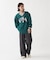 Champion ACTION STYLE Vネックプルオーバー / C3-A616