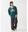 Champion ACTION STYLE Vネックプルオーバー / C3-A616
