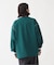 Champion ACTION STYLE Vネックプルオーバー / C3-A616