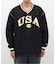 Champion ACTION STYLE Vネックプルオーバー / C3-A616