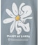 《追加》【PLANET OF EARTH】BIG FLOWER エンブロイダリースウェット