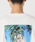 【わたせせいぞう × EDIFICE】別注 イラストTシャツ