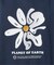 P of E BIG FLOWER エンブロイダリースウェット