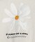 P of E BIG FLOWER エンブロイダリースウェット