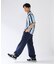 STRIPED ASSORTED POLO シャツ