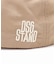 DSG STAND 別注キャップ