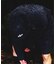 bal × WISM別注 SOLO BUCKET HAT
