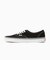 VANS / ヴァンズ UA Authentic