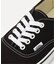 VANS / ヴァンズ UA Authentic