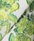 別注【TOLIGHT×JOURNALSTANDARD】FLOWER JQ SH