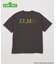 セサミストリート meets JOURNAL STANDARD 別注プリントTシャツ