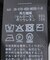 《2枚セット》マルチボーダーフードベアトップSET