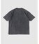ANTS & ELEPHANTS / アンツアンドエレファンツ ナチュラルフェード TEE