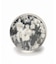 IMAGE CLUB LIMITED×JS/ ICL別注: SUPERBALL SET