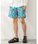 Eddie Bauer / エディーバウアー 別注 Tidal Shorts