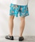 Eddie Bauer / エディーバウアー 別注 Tidal Shorts