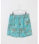 Eddie Bauer / エディーバウアー 別注 Tidal Shorts