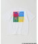 《WEB限定カラーあり》QUEEN / クィーン 別注 グラフィック Tシャツ