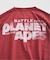 PLANET OF THE APES / 猿の惑星 別注 プリント Tシャツ