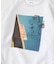 UK ARTIST PROJECT【T-BONE】PHOTO SWEAT P/O