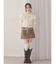 fluffy border collar