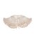 fluffy border collar