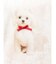 ribbon dog collage tee