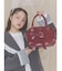 bow ribbon gift bag