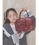 bow ribbon gift bag