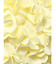 フラワーモチーフビキニ