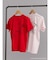 【JANIS】Distressed photo print t-shirts【コラボ】