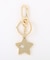 CLASSIC STAR KEYRING