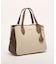 MINERVA S TOTE