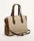 MINERVA S SATCHEL
