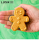LUSH キャッチミーイフユーキャン クリスマス バスボム 限定 2025 入浴剤 プチギフト プレゼント シトラス ジンジャー 人気 かわいい ヴィーガン コスメ ラッシュ 公式