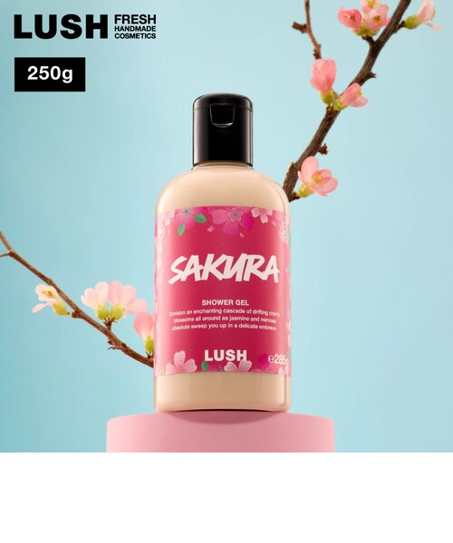 【シェリー】LUSH ボディソープ三本セット＋サブスク分 LUSH サクラ シャワージェル ホワイトデー 2026 限定 ボディソープ