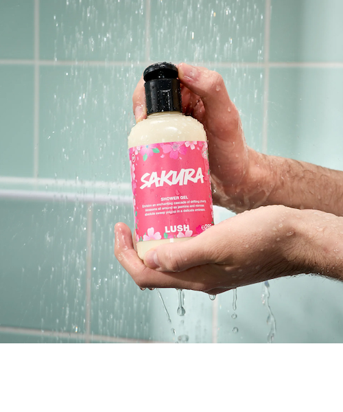 LUSH サクラ シャワージェル ホワイトデー 2026 限定 ボディソープ