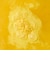 LUSH ママベア バスボム 母の日 2026 限定 入浴剤 ハチミツ ベルガモット ヴィーガン 自然派 コスメ ラッシュ 公式