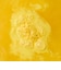 LUSH ママベア バスボム 母の日 2026 限定 入浴剤 ハチミツ ベルガモット ヴィーガン 自然派 コスメ ラッシュ 公式