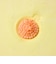 LUSH フラワーティー バスボム 母の日 2026 限定 入浴剤 マリーゴールド ココアバター ヴィーガン 自然派 コスメ ラッシュ 公式