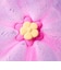 LUSH シークレットガーデンボムシェル バスボム 母の日 2026 限定 入浴剤 ジャスミン シーソルト ヴィーガン 自然派 コスメ ラッシュ 公式
