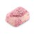 LUSH フルーツパイ ボディスクラブ 母の日 2026 限定 ボディケア マッサージ チェリー カカオバター ヴィーガン 自然派 コスメ ラッシュ 公式