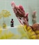 LUSH マザーオブドラゴンズ シャワージェル 母の日 2026 限定 ボディソープ ボディケア ドラゴンフルーツ ヴィーガン 自然派 コスメ ラッシュ 公式