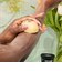 LUSH ママチーノスクラビー 母の日 2026 限定 角質ケア 保湿 スキンケア ボディケア マッサージ ヴィーガン 自然派 コスメ ラッシュ 公式