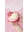 LUSH ムーミン ディライト 限定 2026 石けん 固形 石鹸 自然派 コスメ プレゼ ント ラッシュ 公式